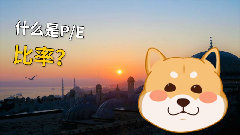 什么是P/E比率？ 动画制作软件有哪些