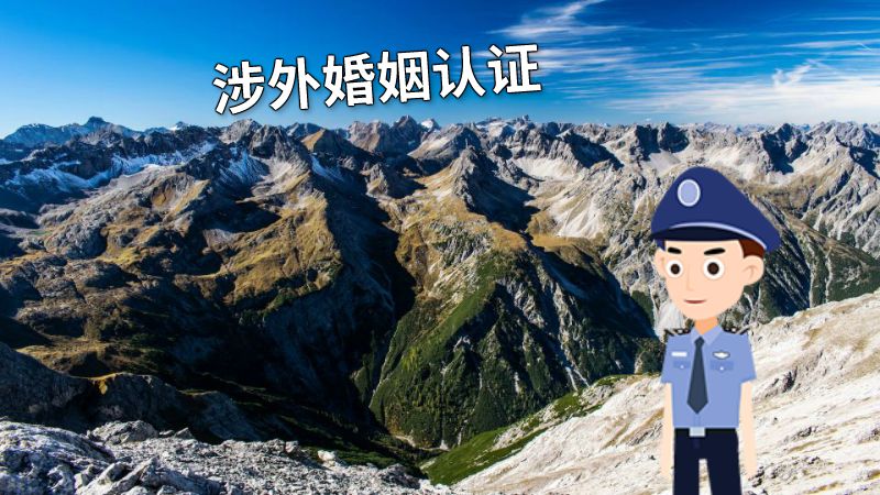 涉外婚姻认证 动画制作软件有哪些