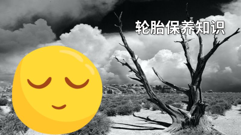 轮胎保养知识 动画制作软件有哪些