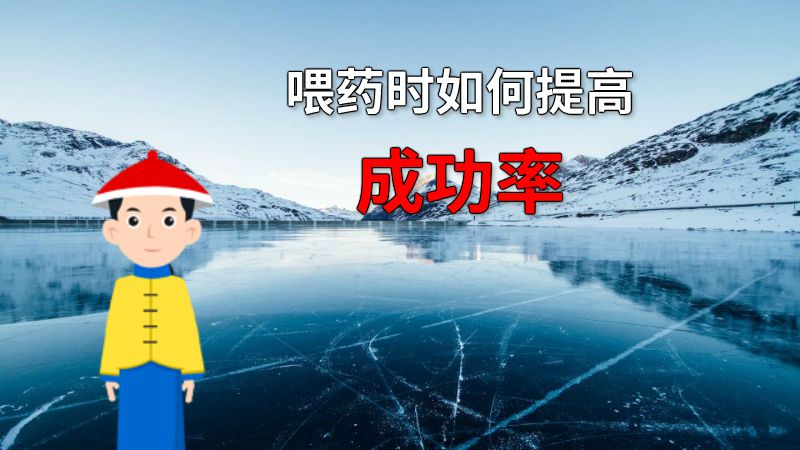喂药时如何提高成功率 动画制作软件有哪些