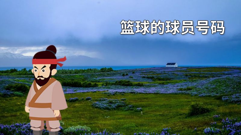 篮球的球员号码 动画制作软件有哪些
