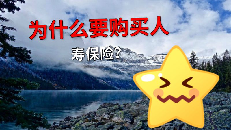 为什么要购买人寿保险？ 动画制作软件有哪些