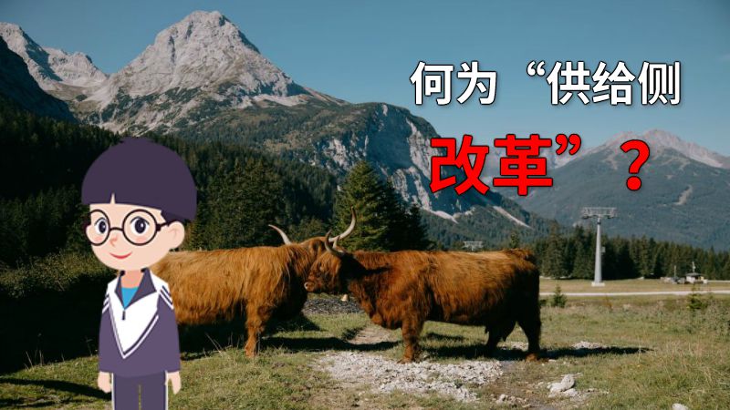 何为“供给侧改革”？ 动画制作软件有哪些