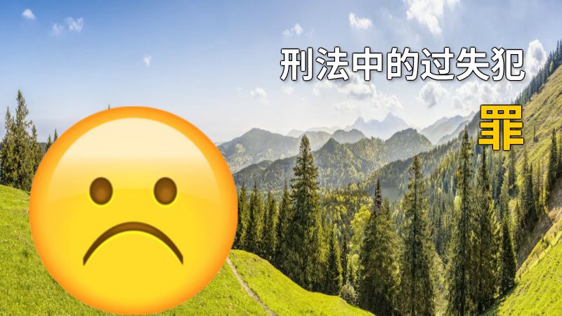 刑法中的过失犯罪 动画制作软件有哪些