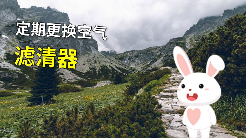 定期更换空气滤清器 动画制作软件有哪些