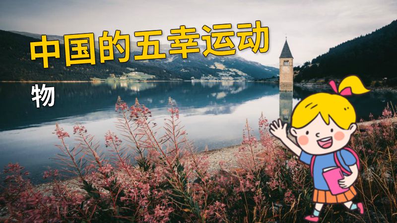 中国的五幸运动物 动画制作软件有哪些