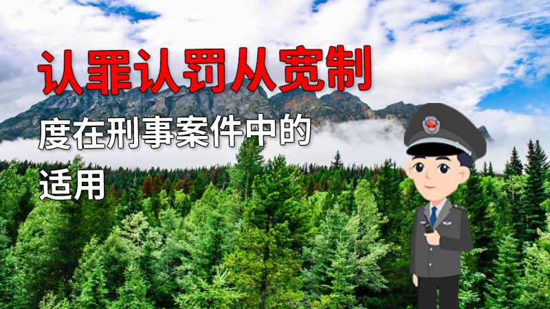 认罪认罚从宽制度在刑事案件中的适用 动画制作软件有哪些