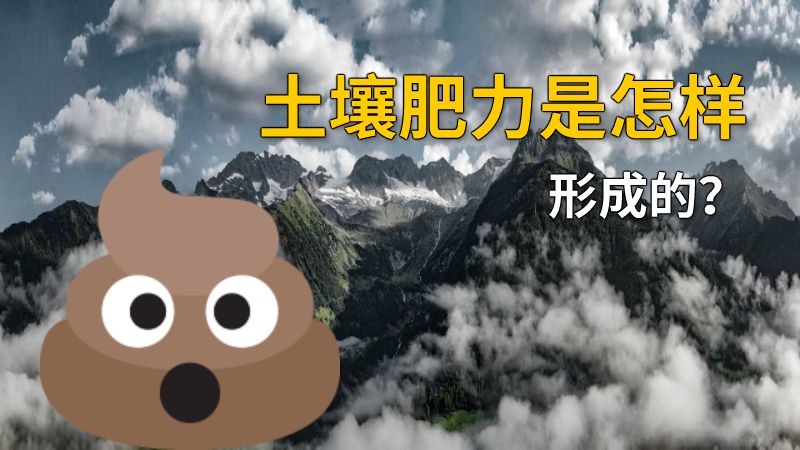 土壤肥力是怎样形成的？ 动画制作软件有哪些