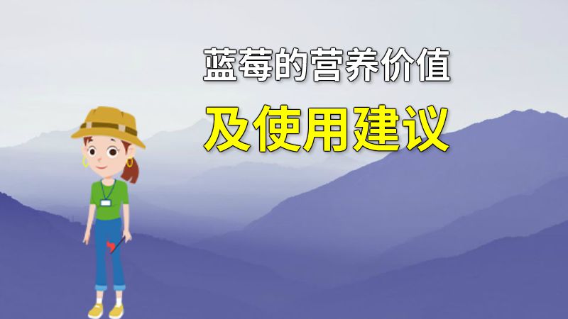 蓝莓的营养价值及使用建议 动画制作软件有哪些