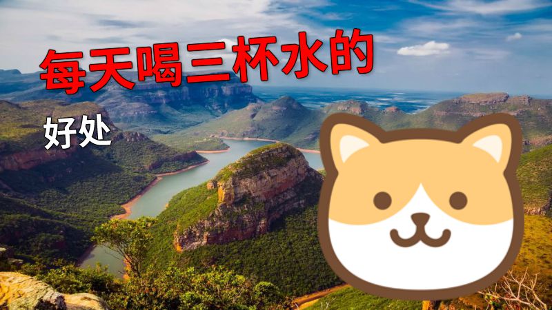 每天喝三杯水的好处 动画制作软件有哪些