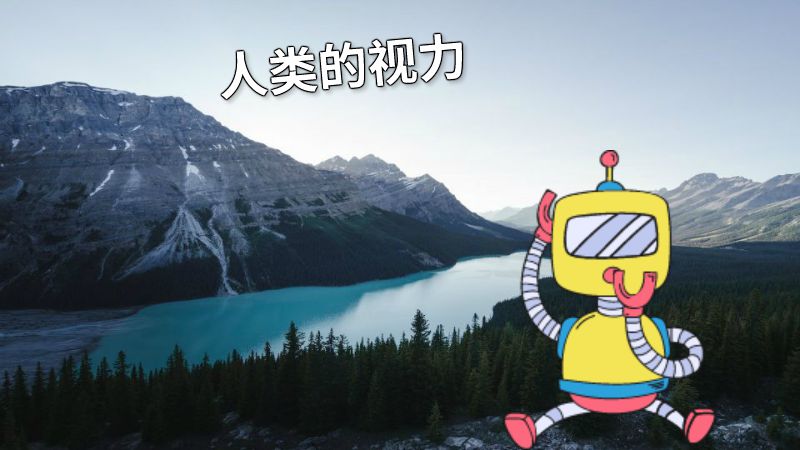 人类的视力 动画制作软件有哪些