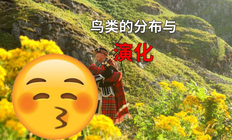 鸟类的分布与演化 动画制作软件有哪些