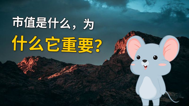 市值是什么，为什么它重要？ 动画制作软件有哪些