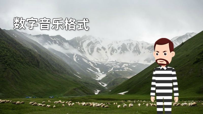 数字音乐格式 动画制作软件有哪些