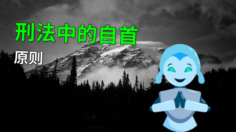 刑法中的自首原则 动画制作软件有哪些