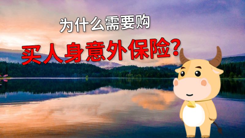 为什么需要购买人身意外保险？ 动画制作软件有哪些