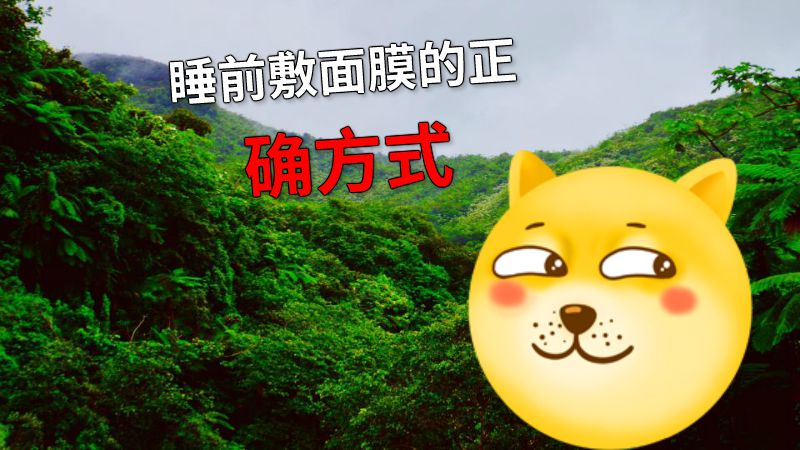 睡前敷面膜的正确方式 动画制作软件有哪些