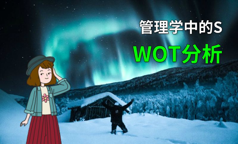 管理学中的SWOT分析 动画制作软件有哪些