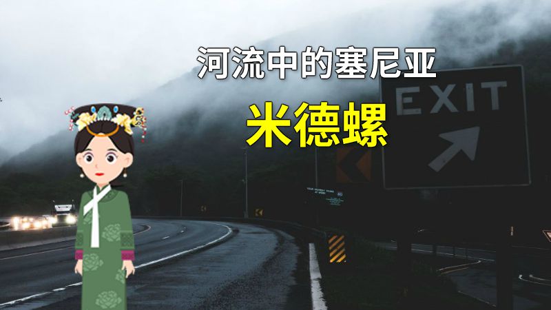 河流中的塞尼亚米德螺 动画制作软件有哪些