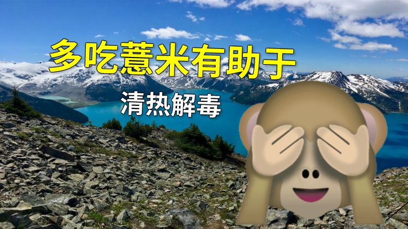 多吃薏米有助于清热解毒 动画制作软件有哪些