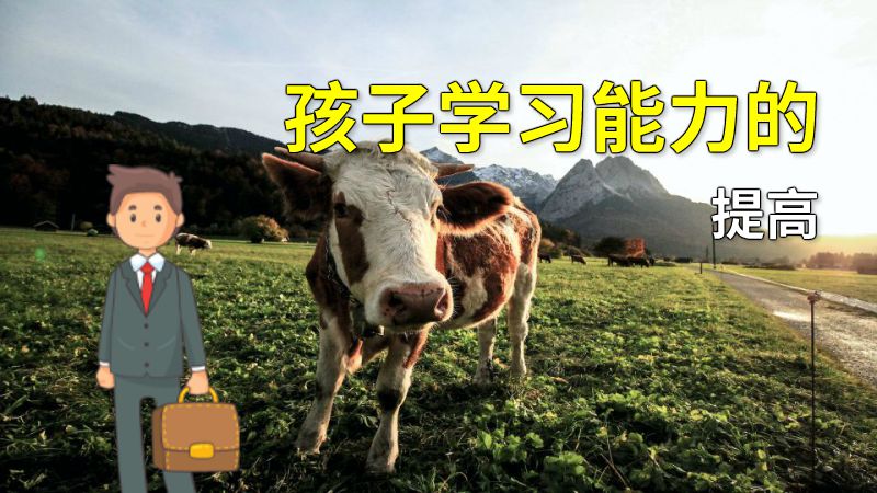孩子学习能力的提高 动画制作软件有哪些