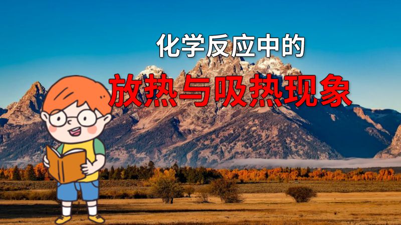 化学反应中的放热与吸热现象 动画制作软件有哪些