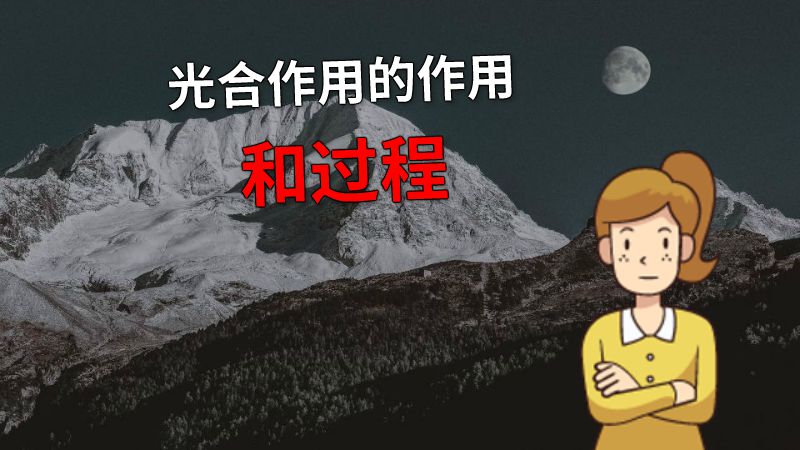 光合作用的作用和过程 动画制作软件有哪些