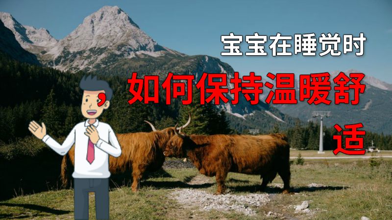 宝宝在睡觉时，如何保持温暖舒适 动画制作软件有哪些