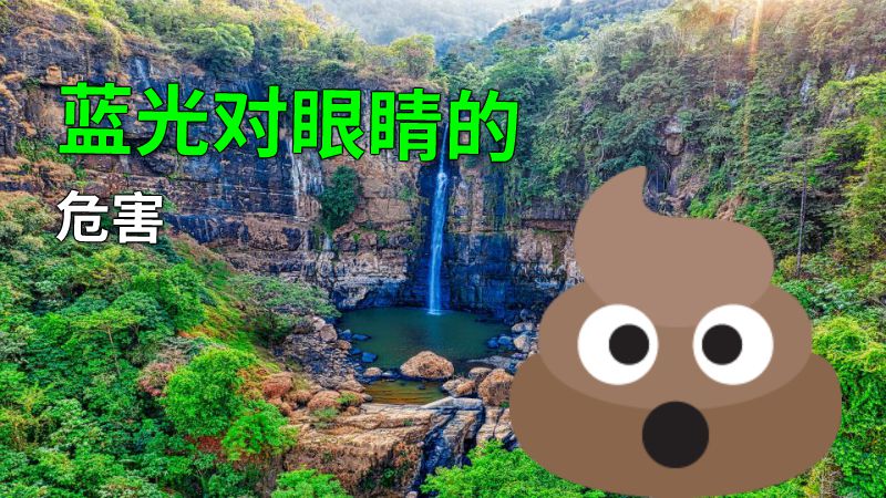 蓝光对眼睛的危害 动画制作软件有哪些