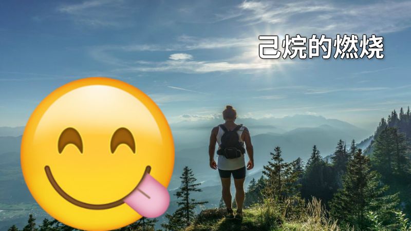 己烷的燃烧 动画制作软件有哪些