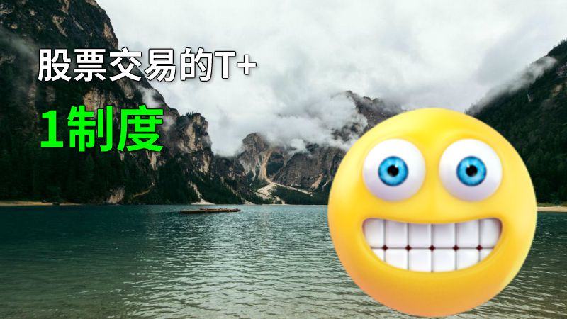 股票交易的T+1制度 动画制作软件有哪些