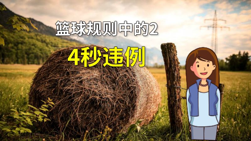 篮球规则中的24秒违例 动画制作软件有哪些