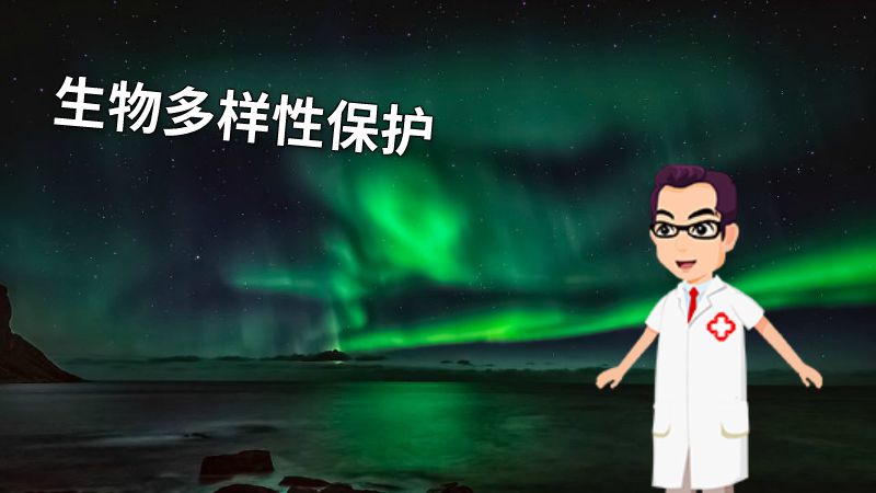 生物多样性保护 动画制作软件有哪些
