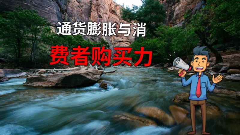 通货膨胀与消费者购买力 动画制作软件有哪些