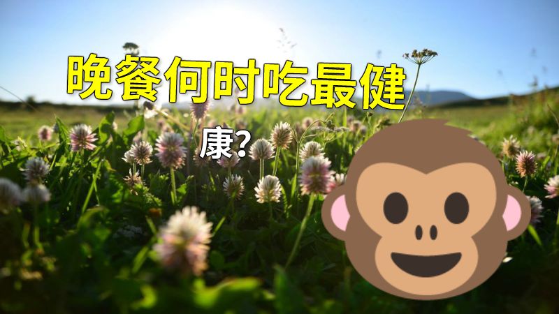 晚餐何时吃最健康？ 动画制作软件有哪些