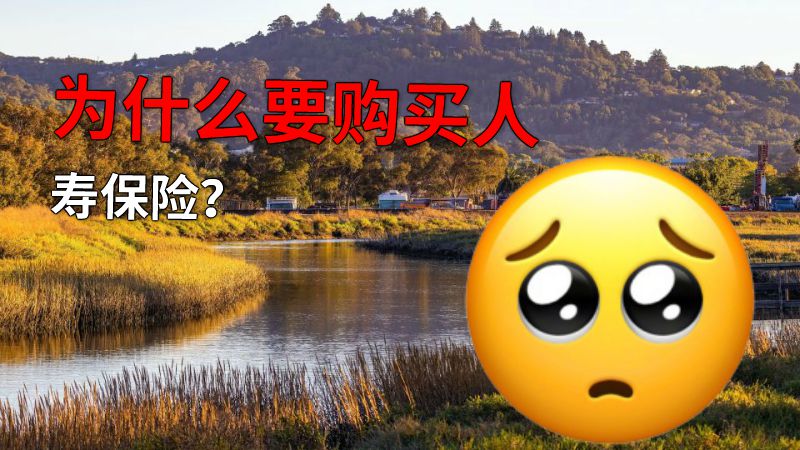 为什么要购买人寿保险？ 动画制作软件有哪些