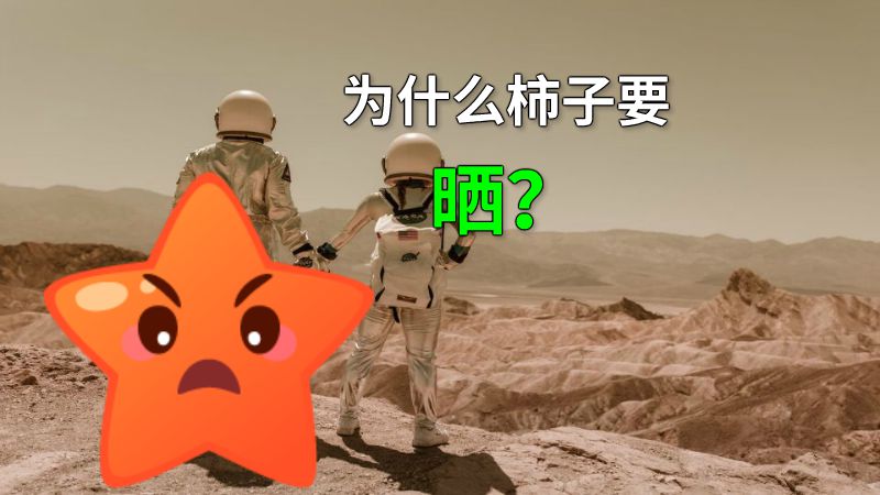 为什么柿子要晒？ 动画制作软件有哪些