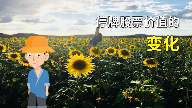 停牌股票价值的变化 动画制作软件有哪些
