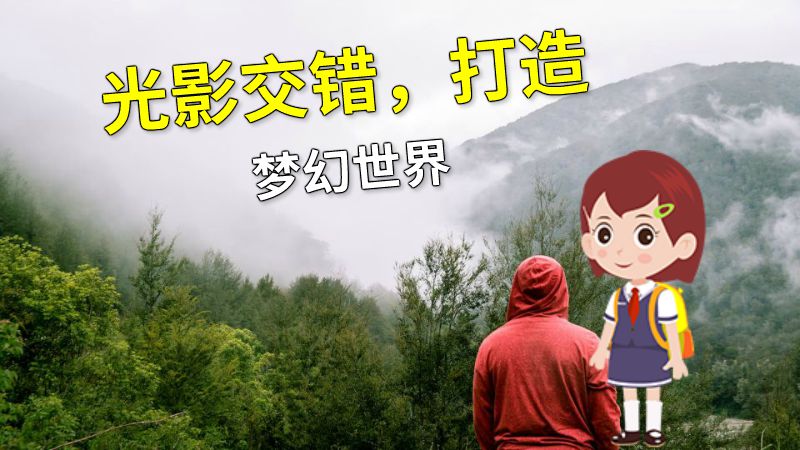 光影交错，打造梦幻世界 动画制作软件有哪些