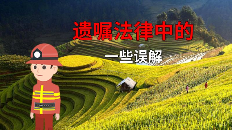 遗嘱法律中的一些误解 动画制作软件有哪些