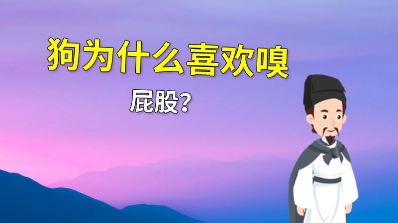狗为什么喜欢嗅屁股？ 动画制作软件有哪些