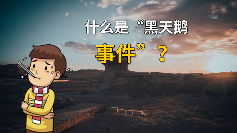 什么是“黑天鹅事件”？ 动画制作软件有哪些