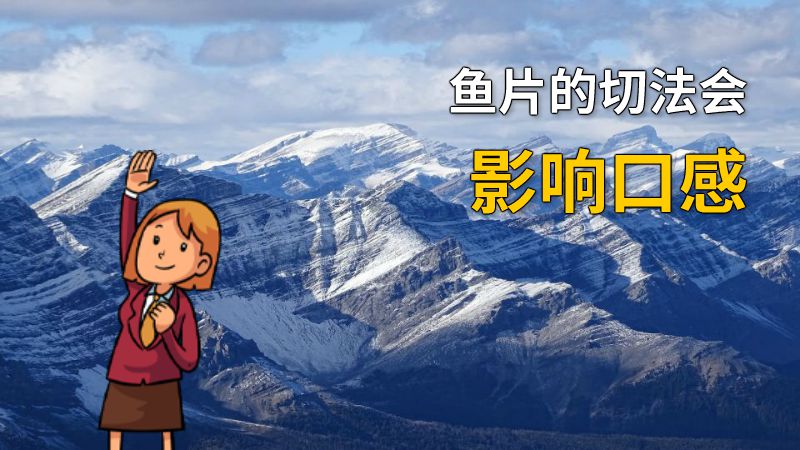 鱼片的切法会影响口感 动画制作软件有哪些