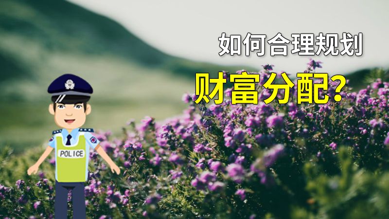 如何合理规划财富分配？ 动画制作软件有哪些