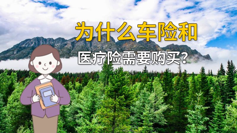 为什么车险和医疗险需要购买？ 动画制作软件有哪些