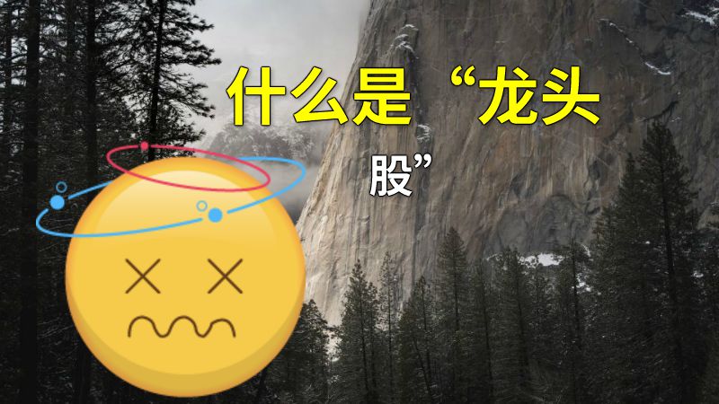 什么是“龙头股” 动画制作软件有哪些