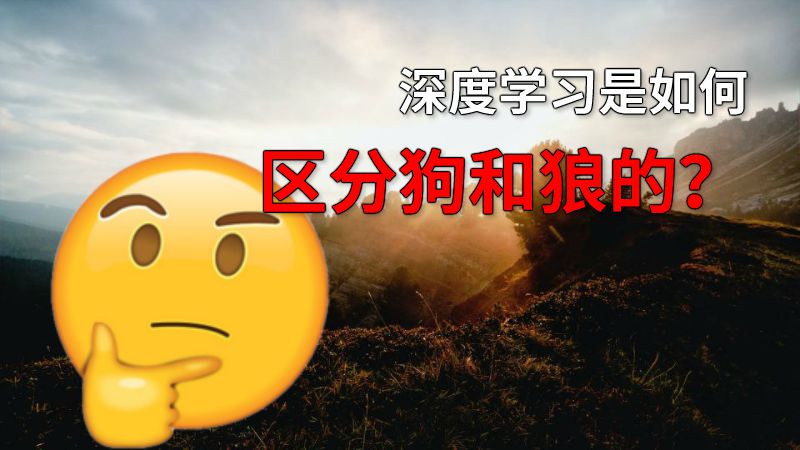 深度学习是如何区分狗和狼的？ 动画制作软件有哪些