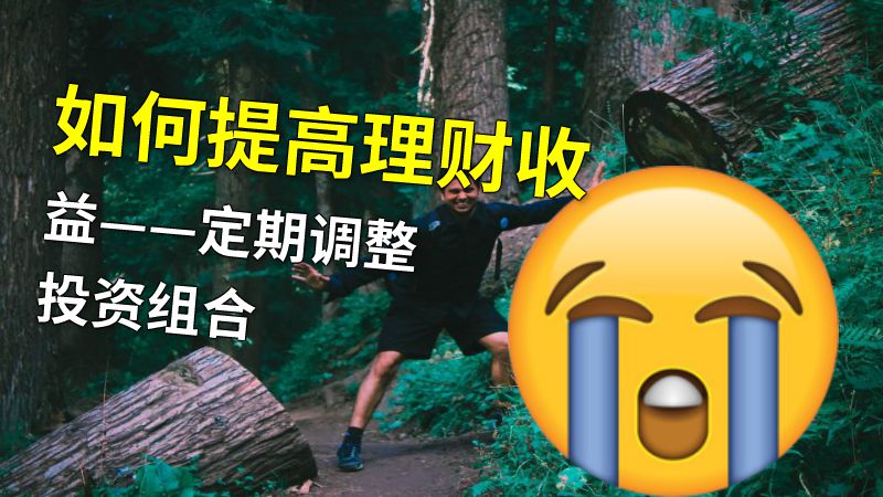 如何提高理财收益——定期调整投资组合 动画制作软件有哪些