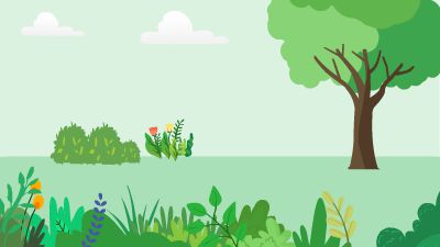 十以内的减法3.am 动画制作软件有哪些