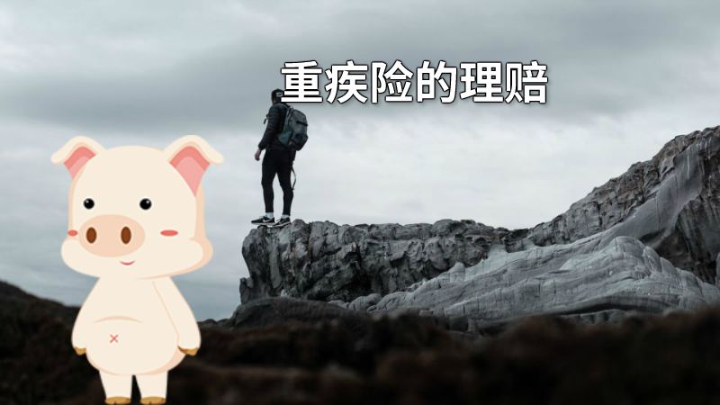 重疾险的理赔 动画制作软件有哪些